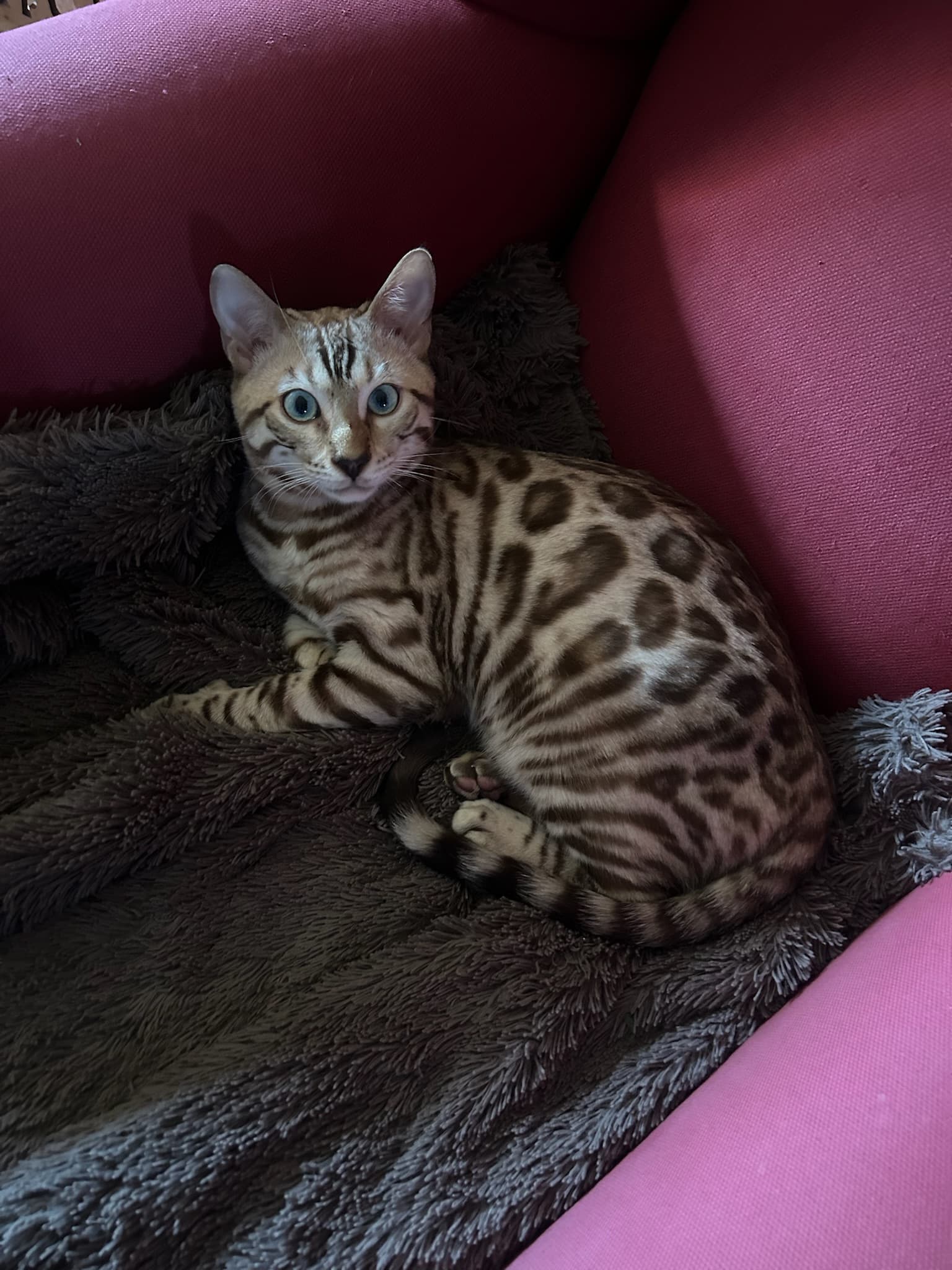 Momento íntimo en exterior